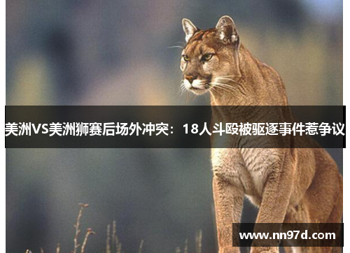 美洲VS美洲狮赛后场外冲突：18人斗殴被驱逐事件惹争议